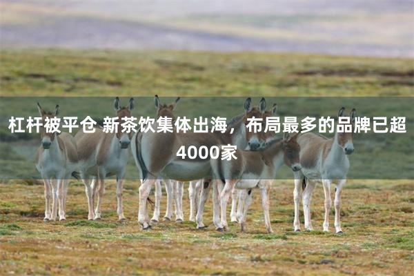 杠杆被平仓 新茶饮集体出海，布局最多的品牌已超4000家