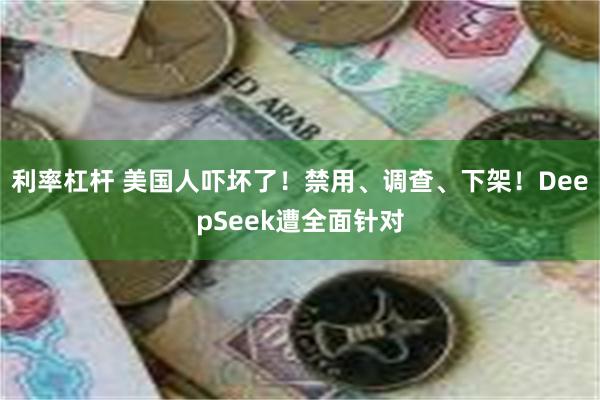 利率杠杆 美国人吓坏了！禁用、调查、下架！DeepSeek遭全面针对