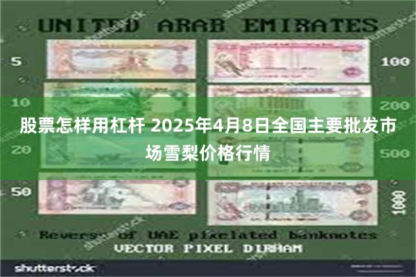 股票怎样用杠杆 2025年4月8日全国主要批发市场雪梨价格行情
