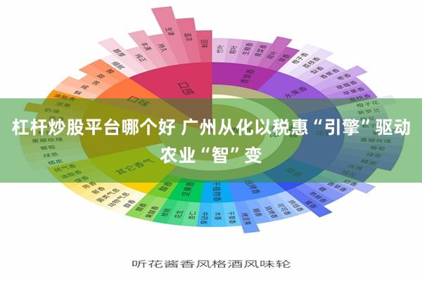 杠杆炒股平台哪个好 广州从化以税惠“引擎”驱动农业“智”变
