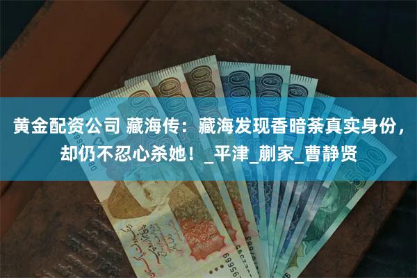 黄金配资公司 藏海传：藏海发现香暗荼真实身份，却仍不忍心杀她！_平津_蒯家_曹静贤