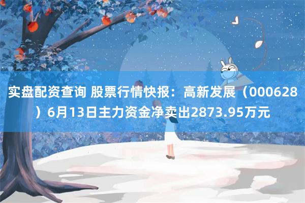 实盘配资查询 股票行情快报：高新发展（000628）6月13日主力资金净卖出2873.95万元