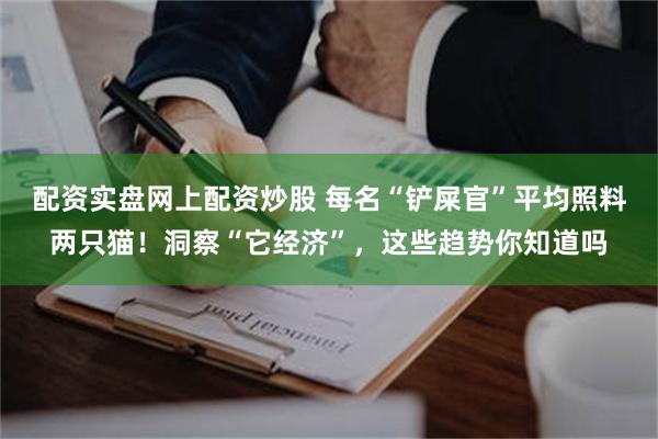 配资实盘网上配资炒股 每名“铲屎官”平均照料两只猫！洞察“它经济”，这些趋势你知道吗