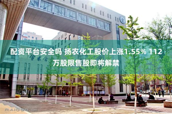 配资平台安全吗 扬农化工股价上涨1.55% 112万股限售股即将解禁