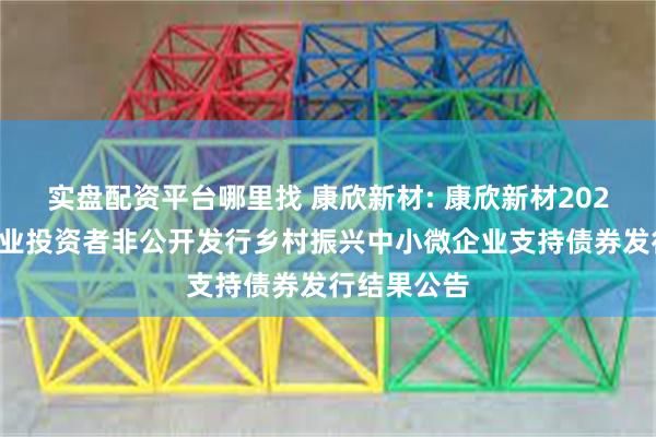 实盘配资平台哪里找 康欣新材: 康欣新材2025年面向专业投资者非公开发行乡村振兴中小微企业支持债券发行结果公告